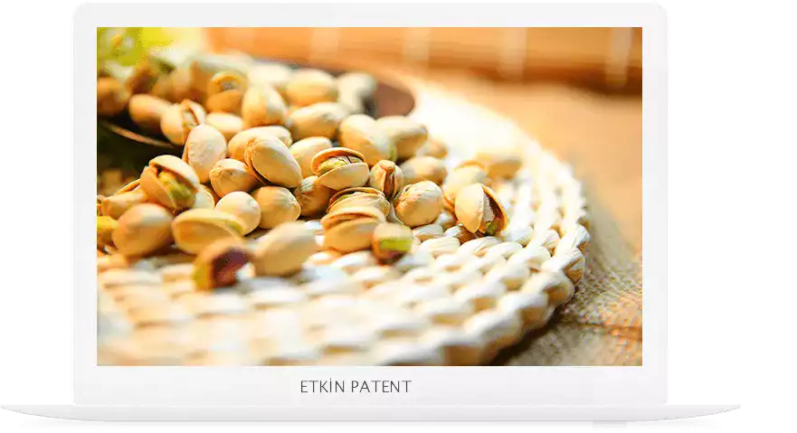 Tanımlama Standartları Barkod - Beyoğlu Patent